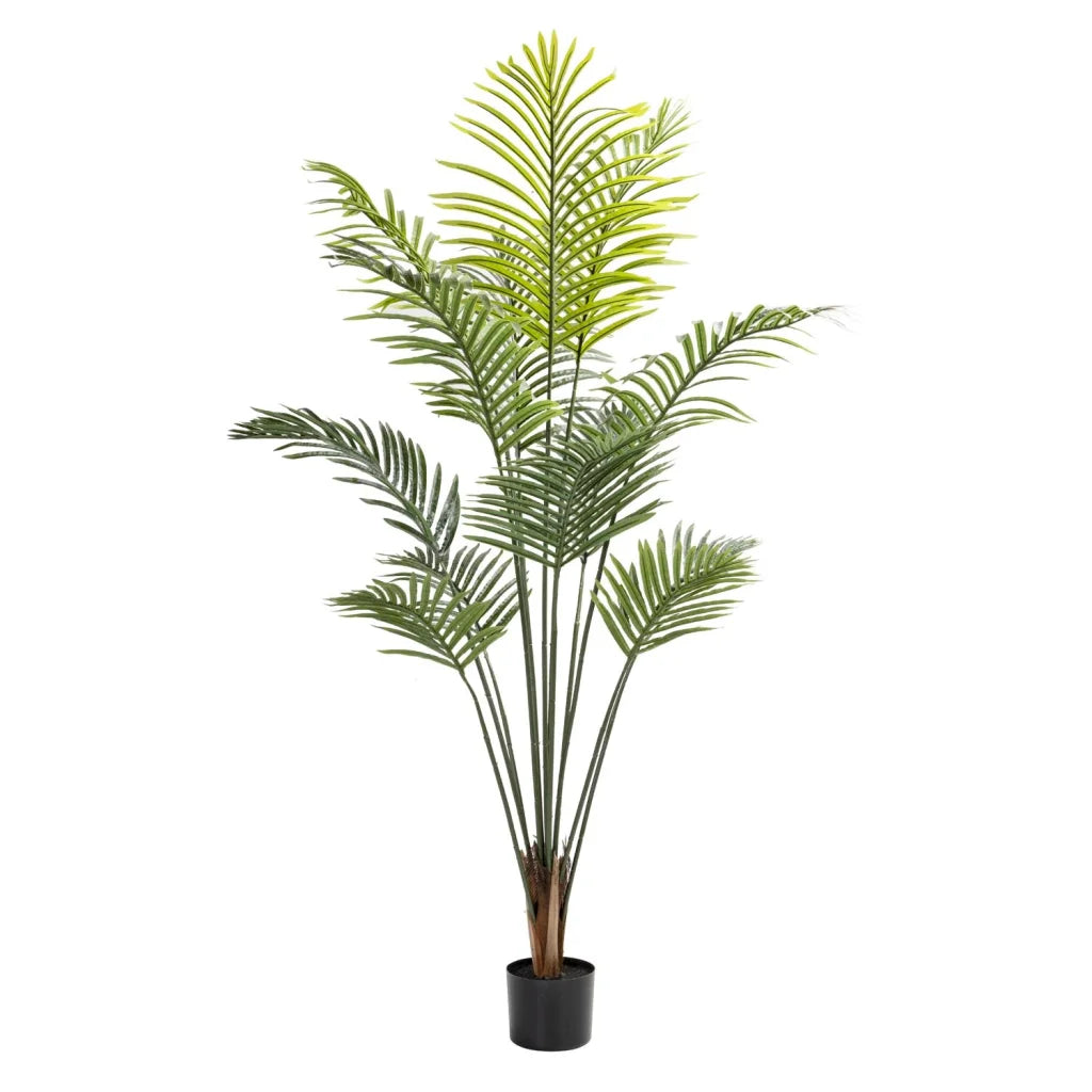 PALM PLANT IN POT -160cm