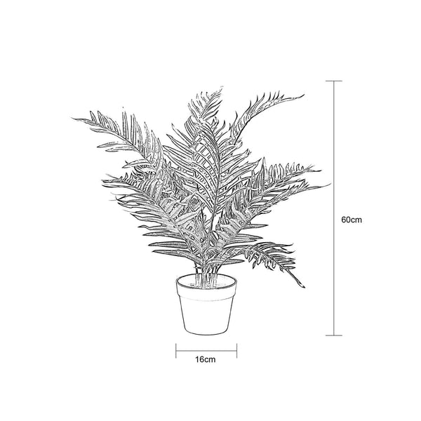 PALM PLANT IN POT - 60cm