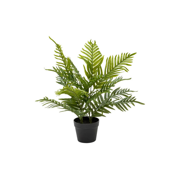 60cm Faux Palm Plant in Pot | Low-Maintenance Home Decor